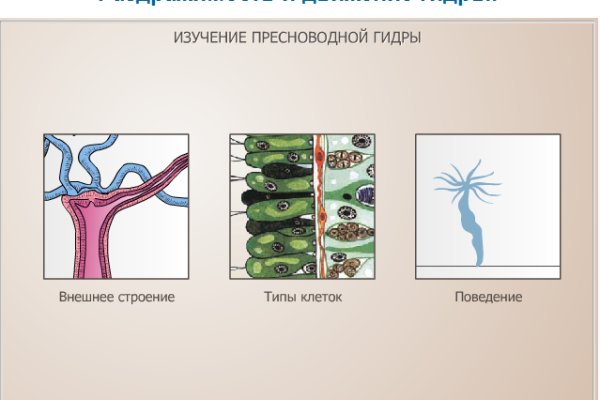 Кракен блэк спрут