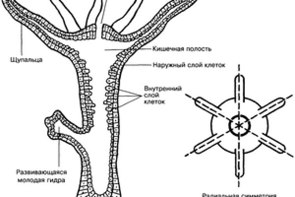 Как загрузить фото в блэк спрут