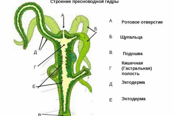 Блэкспрут сайт даркнет ссылка