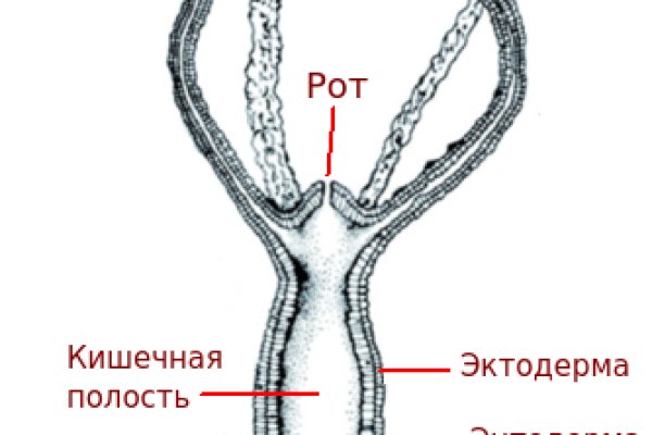 Все доступные по ссылке награды в bs